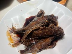 -佬肥猫(国华广场店)