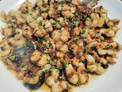 豉汁蒸盘龙鳝鱼-广州海鲜酒楼(长丰园店)