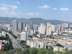 -金鸡山公园