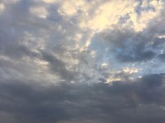 晚霞-上海市位育初级中学