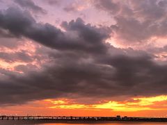 -宝安西湾红树林湿地公园