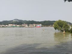 -石排湾郊野公园