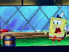 -顽啤熊·酒客酒馆(苏城夜景必选店)