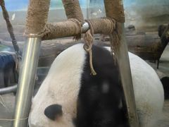 -柳州市动物园