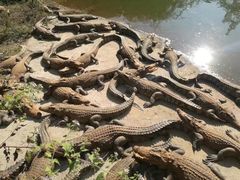-广东茂名森林公园