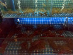 -李记潮汕砂锅粥(营福路店)