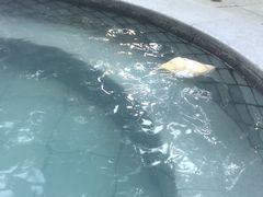 -碧水湾温泉