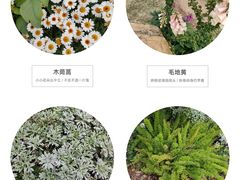 -深圳市中科院仙湖植物园