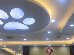 -美联众合动物医院·内科·皮肤科·外科(古城分院)