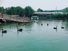 -无锡动物园·太湖欢乐园