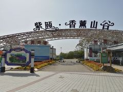 -紫颐香薰山谷景区