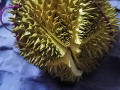 -永旺梦乐城(金银潭店)
