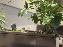 -俏立方·15年新楚菜