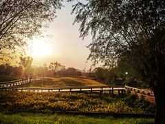 -汉长安城未央宫国家考古遗址公园