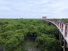 -北海金海湾红树林生态旅游区
