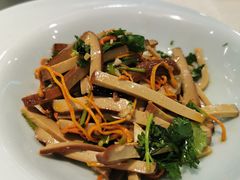 -洞庭家宴·头牌甲鱼(广渠门店)