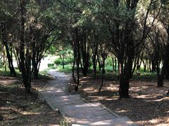 -贮水山儿童公园
