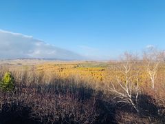 -塞罕坝国家级自然保护区