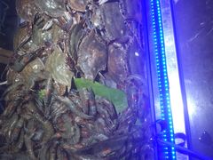 螃蟹-欢乐牧场海鲜烤肉自助(牡丹园店)