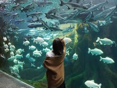 -波塞冬旅游度假区