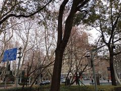 -徐家汇源景区-衡山公园