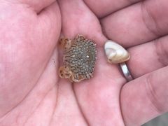 -嵊泗基湖沙滩