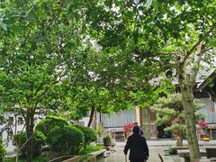 -韩城古城