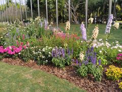 -深圳国际园林花卉博览园