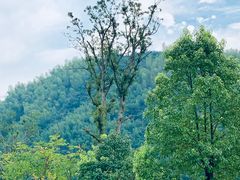 -雅鲁激流探险漂流