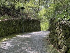 -虎跑公园