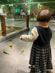 -酷嗒动物文化乐园(cutezoo西溪乐天城店)