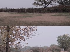 -渭河城市绿地运动公园