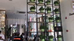 -MY WAY SALON