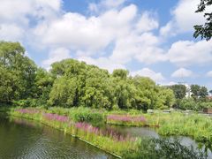 -长春市南湖公园