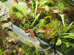 -国家植物园南园