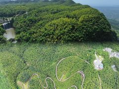 -蜀南竹海景区