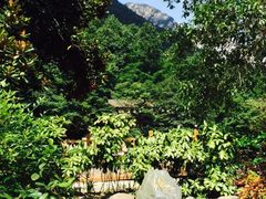 飘雪温泉-黄山温泉国际旅游度假区