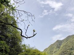 -西安金龙峡风景区