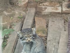 -青藏高原野生动物园