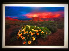 -罗红摄影艺术馆