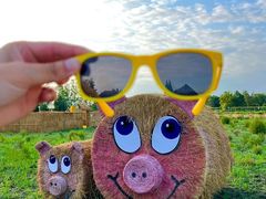 -中国天府农业博览园