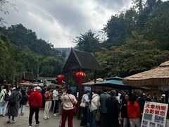 -野象谷景区