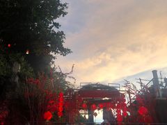 -Rock Bar Bali(Bali)