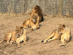 -北京野生动物园