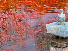 -竹泉村旅游度假区