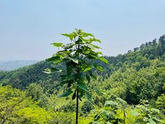 -敬亭山风景名胜区