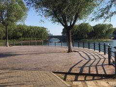 -大兴滨河森林公园