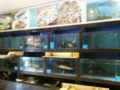 -御信客家王(洛溪店)