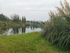 -眉山湿地公园(东坡区)