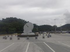 -野狸岛